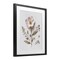 Stupell Industries Pressed Wild Flowers Framed Print Under Glass, design by Lettered and Lined